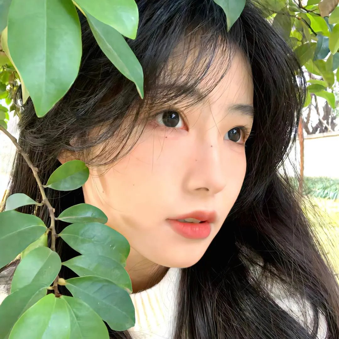 绝地英雌
