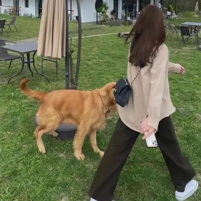 戈德堡一家第八季